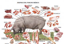 🍀 El despiece del cerdo y la calidad de sus cortes de carne Despiece del cerdo