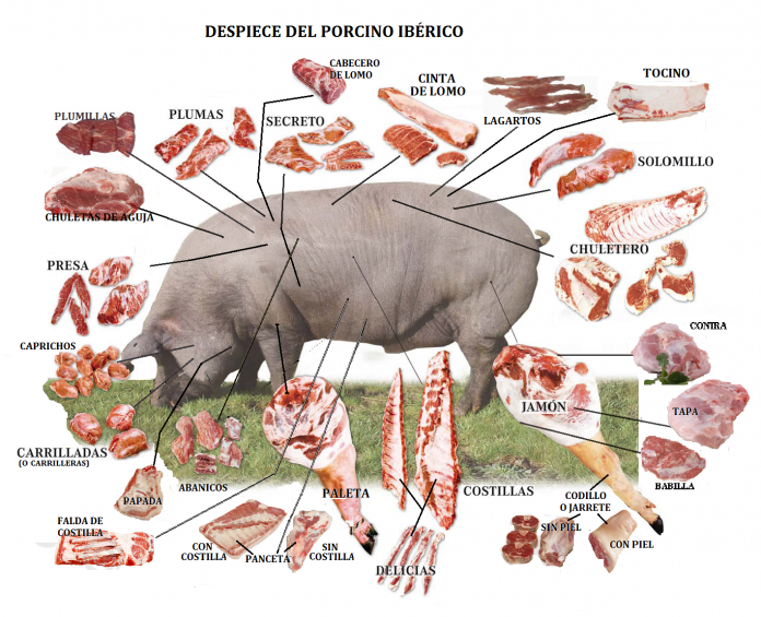 Despiece del cerdo Despiece del cerdo