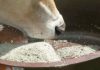 🍀 Sal mineralizada: Importancia en la dieta del ganado Sal Mineralizada Ganado