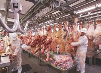 🍀 Industria de Carnes. Libro editado por la Universidad Nacional de Colombia. Industria de la carne