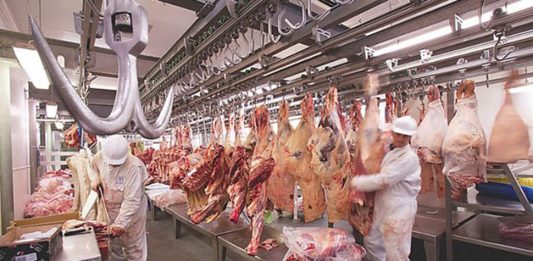 🍀 Industria de Carnes. Libro editado por la Universidad Nacional de Colombia. Industria de la carne