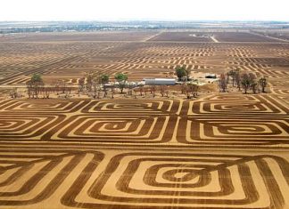 🍀 Un agricultor labra sus campos en forma de mosaico para protegerlos de la erosión Suelo y erosión