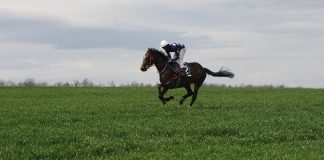 Caballo