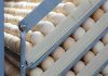 � 6 Consejos para transferencia de huevos Huevos