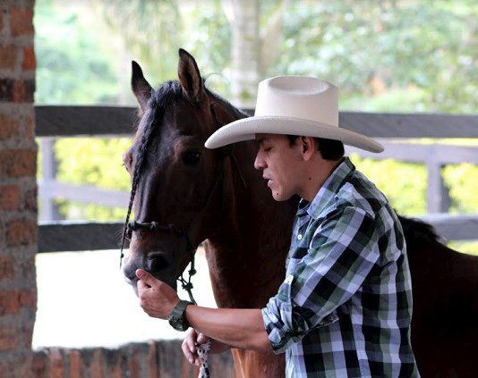 🍀 Piensa Como Tu Caballo y entenderás mejor su mundo