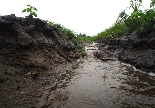erosion-WEPP-foto2